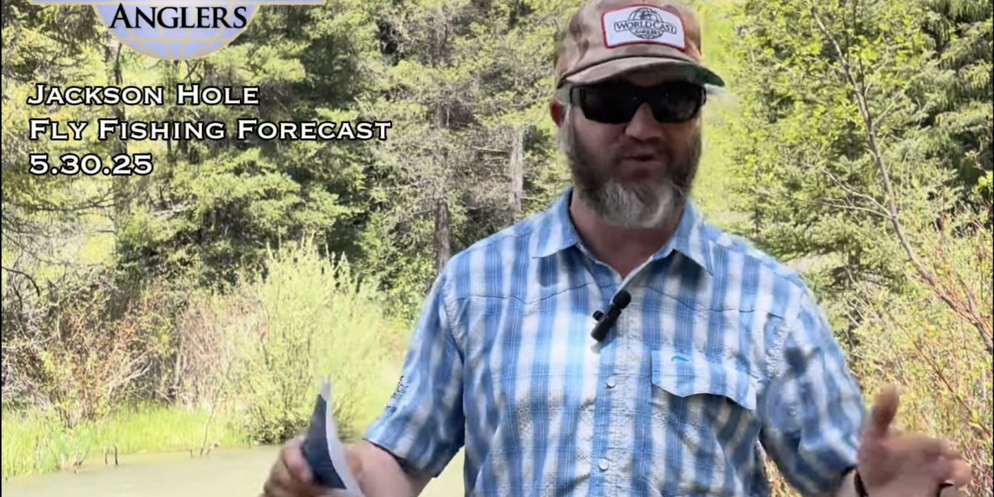 Jackson Hole Fly Fishing Forecast 5.